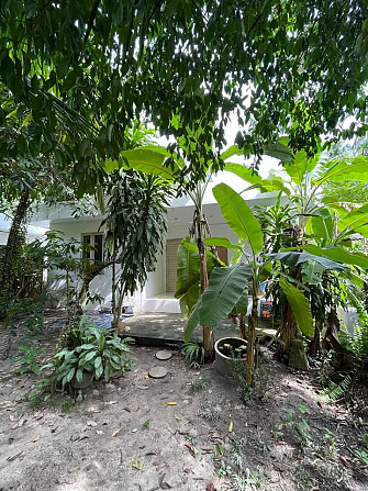 House with Bedrooms: 1 and Bathrooms: 1 Phangan - photo 3