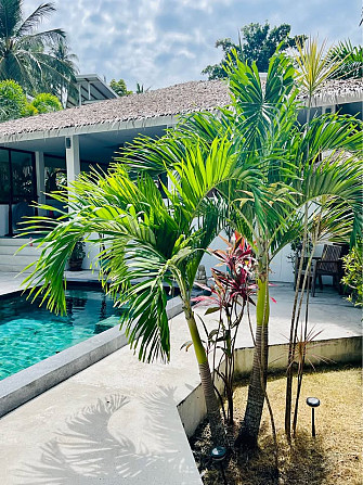 4 Bedroom Apartment for Rent Phangan - photo 13