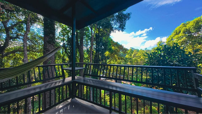 House for Long Term Rent Phangan - photo 16