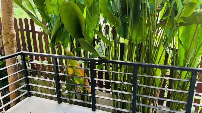 3 Beds 3 Baths - House Samui - photo 3