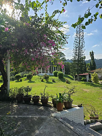 House with Bedrooms: 1 and Bathrooms: 1 Samui - photo 3