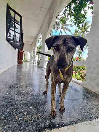 House with Bedrooms: 1 and Bathrooms: 1 Samui