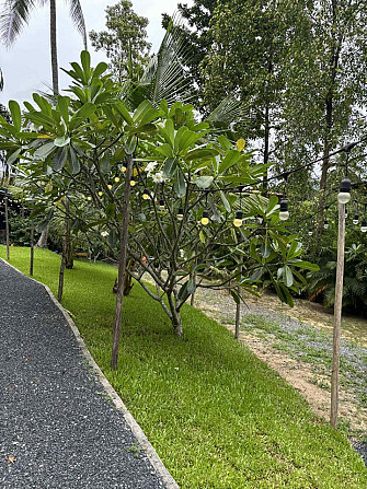 1 bed 1 bath – House Phangan - photo 7