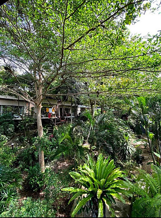 1 Bed 1 Bath - House Phangan - photo 10