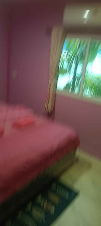 1 Bedroom 1 Bathroom - House Phangan - photo 9