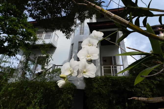 4 Beds 3 Baths House Samui - photo 16