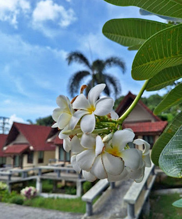 House with Bedrooms: 1 and Bathrooms: 1 Samui - photo 1