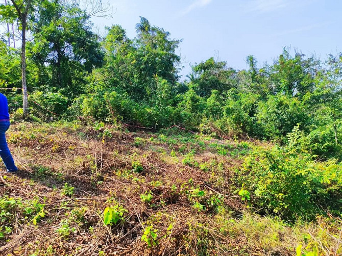 1200 sqm Sea View Land for Sale in Mae Nam Samui - photo 12