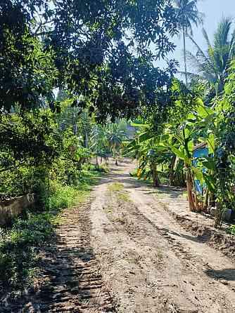 16 Rai Land for Sale in Chalok Lam, Koh Phangan Phangan