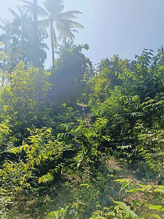 16 Rai Land for Sale in Chalok Lam, Koh Phangan Phangan - photo 2