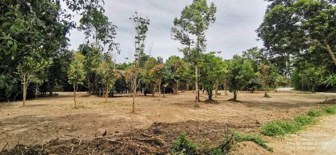Land for Sale in Koh Samui Samui - photo 11