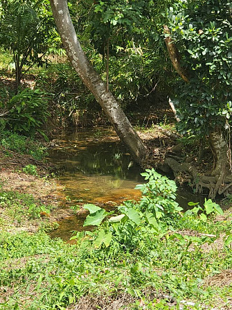 Land for Sale in Koh Samui Samui - photo 3