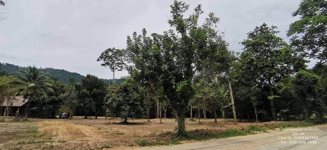Land for Sale in Koh Samui Samui - photo 6