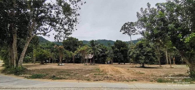 Land for Sale in Koh Samui Samui - photo 4