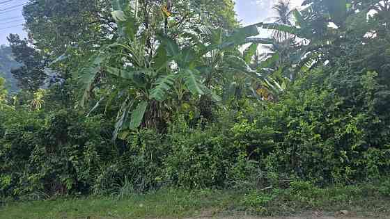 5 Rai Land for Sale in Lamai Samui