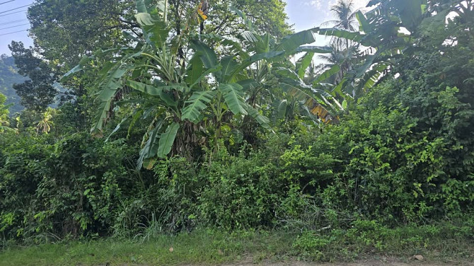 5 Rai Land for Sale in Lamai Samui - photo 2
