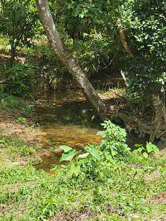 Land for Sale in Ko Samui Samui