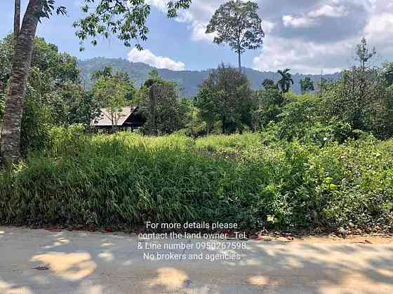 Land for Sale in Ko Samui Samui