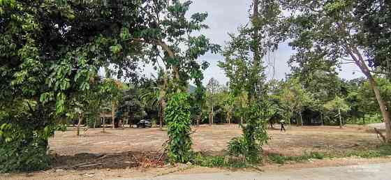 Land for Sale in Ko Samui Samui