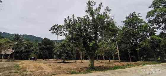 Land for Sale in Ko Samui Samui