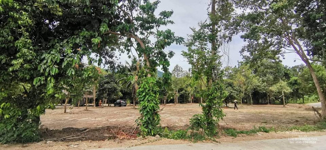 Land for Sale in Ko Samui Samui - photo 5