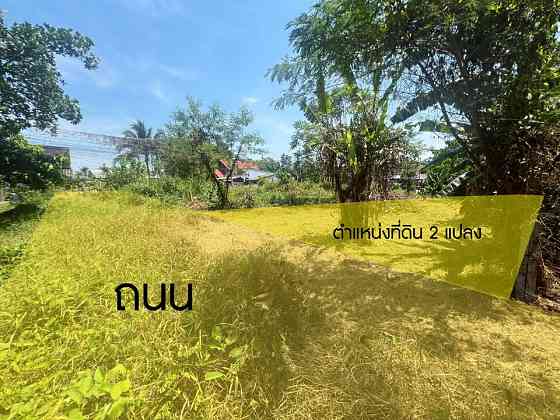 Land for Sale in Thalang, Phuket - 32.7 Sq. Wah ภูเก็ต