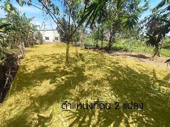 Land for Sale in Thalang, Phuket - 32.7 Sq. Wah ภูเก็ต