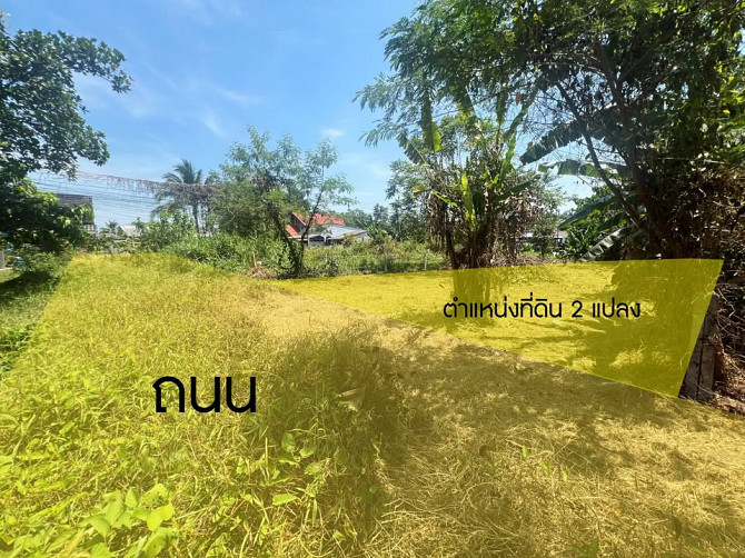 Land for Sale in Thalang, Phuket - 32.7 Sq. Wah Phuket - photo 4