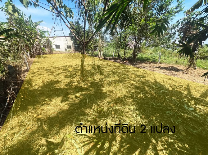 Land for Sale in Thalang, Phuket - 32.7 Sq. Wah Phuket - photo 3