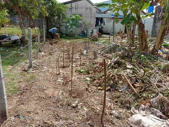 60 Sq. Wah Land for Sale in Phuket ภูเก็ต