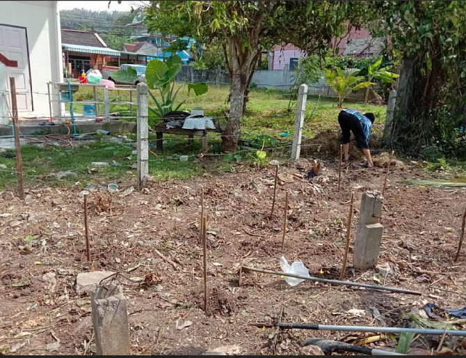 60 Sq. Wah Land for Sale in Phuket Phuket - photo 2