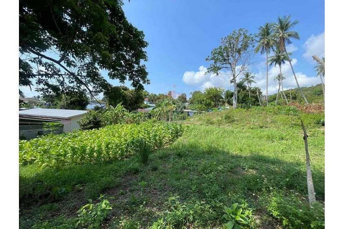 4 Rai Freehold Land for Sale in Chaweng, Koh Samui Samui - photo 6