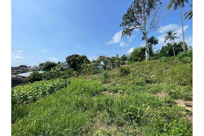 4 Rai Freehold Land for Sale in Chaweng, Koh Samui Samui - photo 3