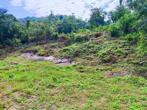1200 sqm Sea View Land for Sale in Mae Nam Samui