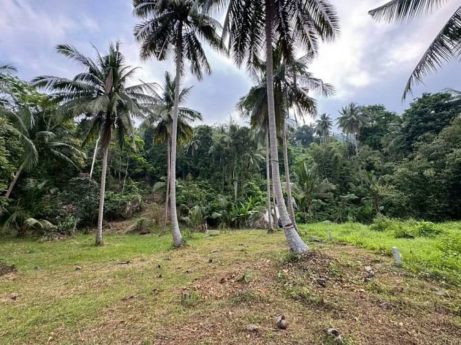 3 Rai Land for Sale Phangan - photo 9