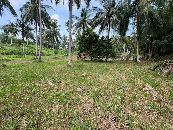 3 Rai Land for Sale Phangan - photo 4