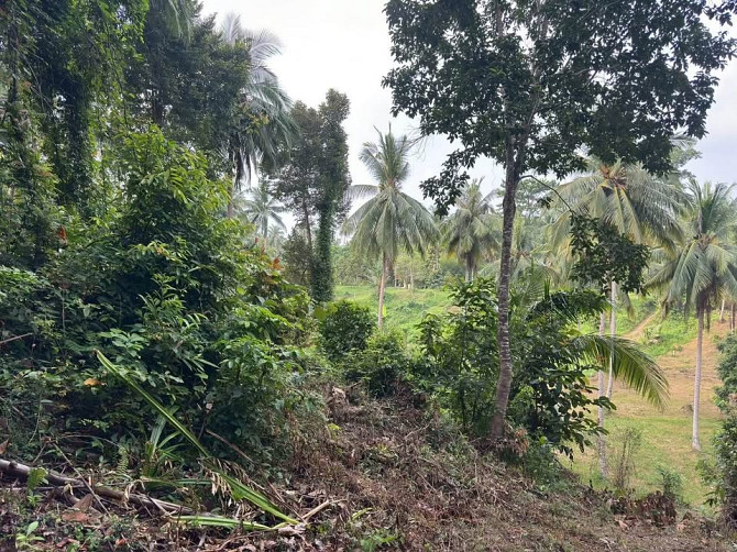 3 Rai Land for Sale Phangan - photo 3