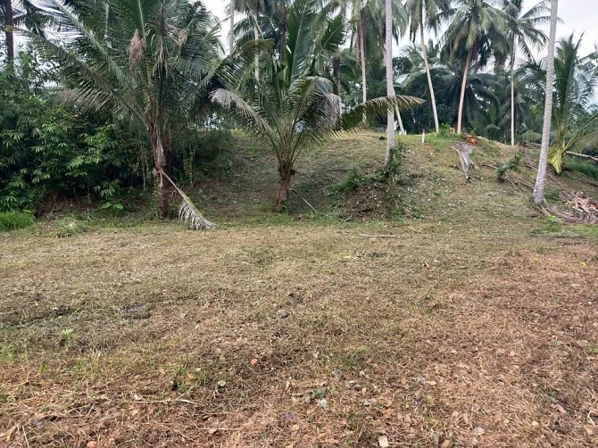 3 Rai Land for Sale Phangan - photo 11