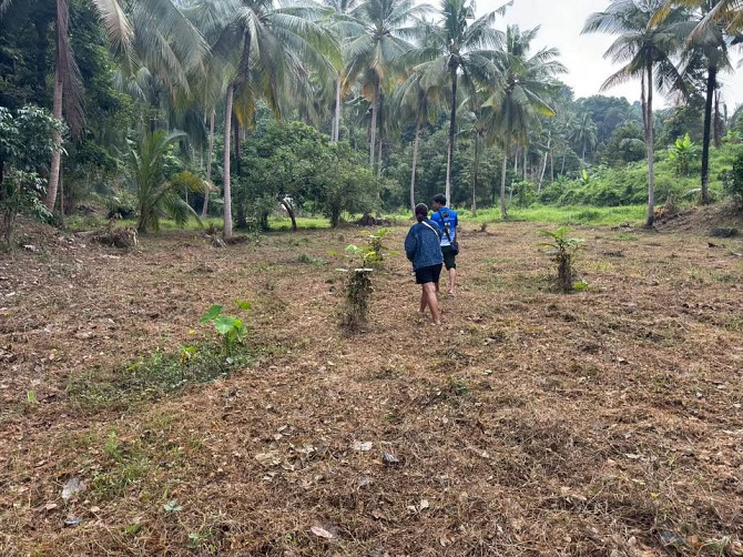 3 Rai Land for Sale Phangan - photo 10