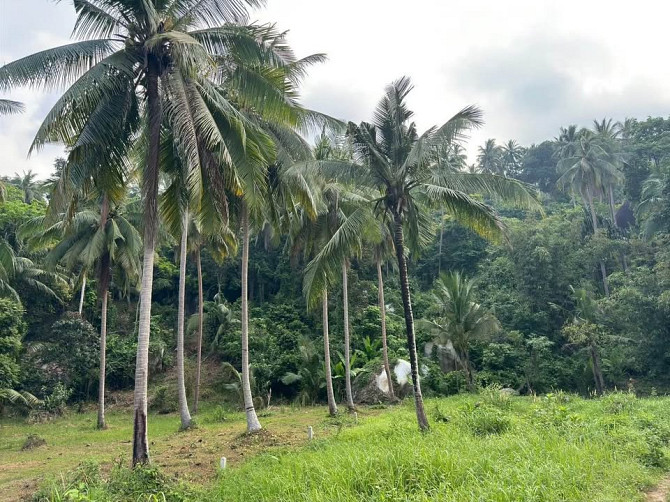 3 Rai Land for Sale Phangan - photo 8