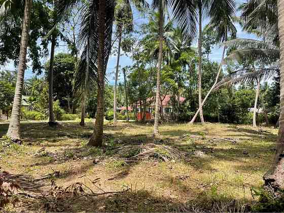 1404 Sqm Land for Sale in Thong Krut Samui