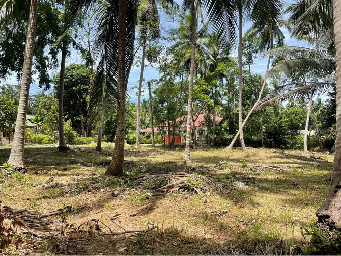 1404 Sqm Land for Sale in Thong Krut Samui - photo 4