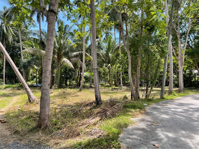 1404 Sqm Land for Sale in Thong Krut Samui - photo 3