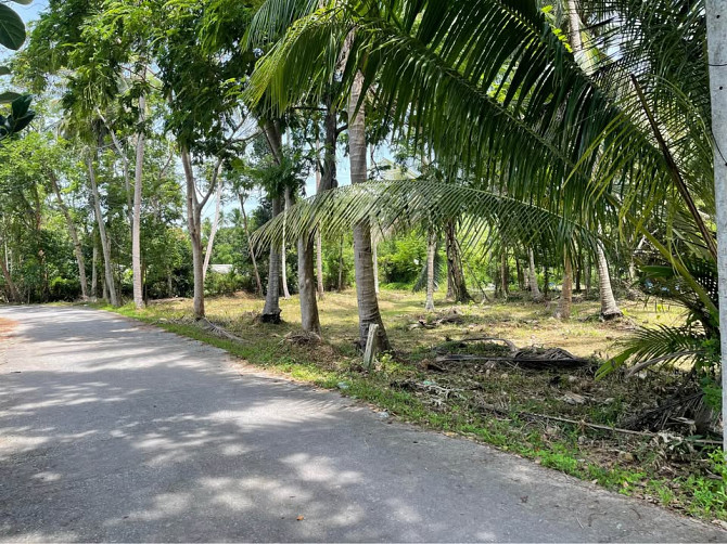 1404 Sqm Land for Sale in Thong Krut Samui - photo 2