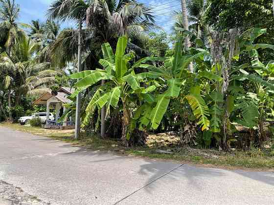 1068 Sqm Land for Sale in Thong Krut Samui