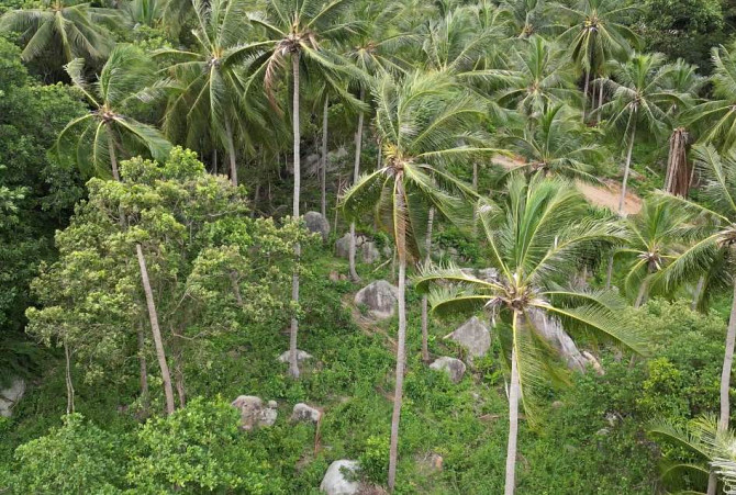 Prime Ban Kai Land for Sale with Sea Views Phangan - photo 2