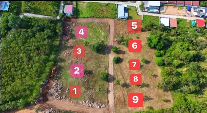 7 Rai Land for Sale in Maenam with Title Deeds Samui - photo 10