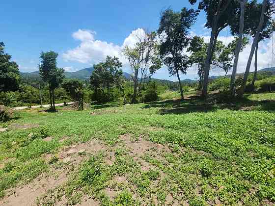 1600 sqm Land for Sale in Nameang, Koh Samui Samui