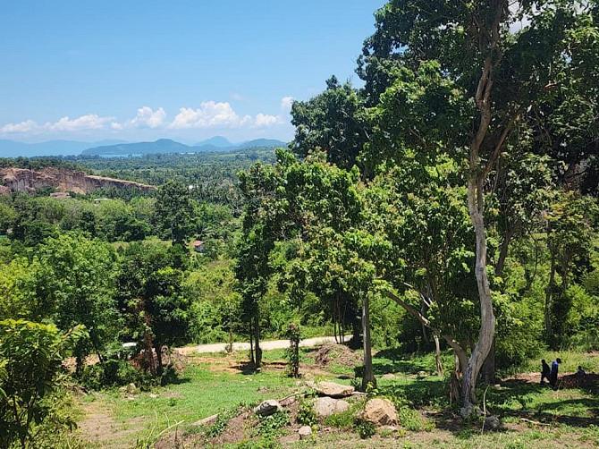 1600 sqm Land for Sale in Nameang, Koh Samui Samui - photo 5
