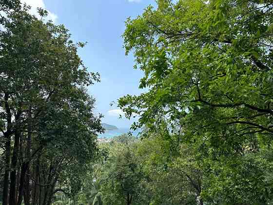 Land for Sale in Chalok Lam, Koh Phangan Phangan